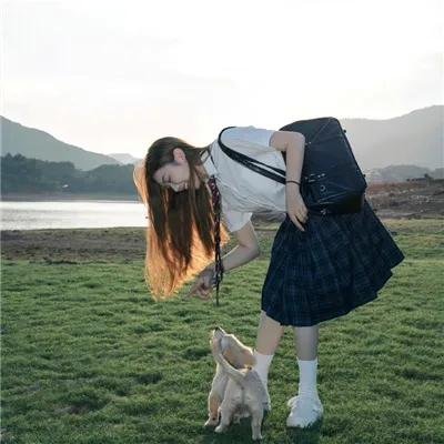 歌舞春光